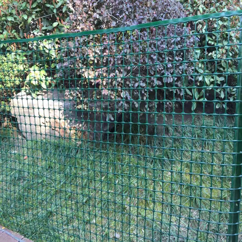 Maille carrée en plastique de 1 m de construction verte résistante aux intempéries